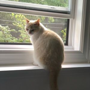 Meet your Posher, Aynslee